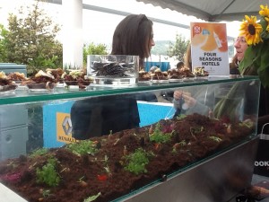 %name Time Out 101 Istanbul Lezzeti Festivali ; Festival gibi festival!...