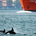 goze sariyer 4 150x150 İstanbulda Kahvaltı Yapılacak Mekanlar