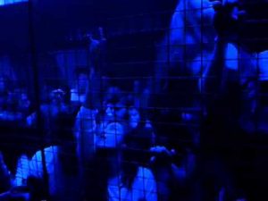 machine taksim 3 300x225 machine taksim 3